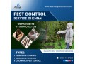 residential-commercial-pest-control-services-in-chennai-aavinashpestcontrol-small-0