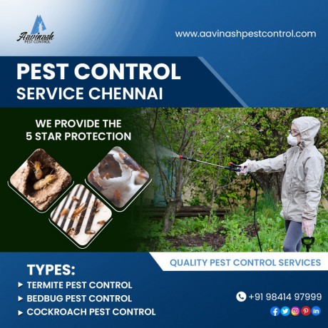 residential-commercial-pest-control-services-in-chennai-aavinashpestcontrol-big-0